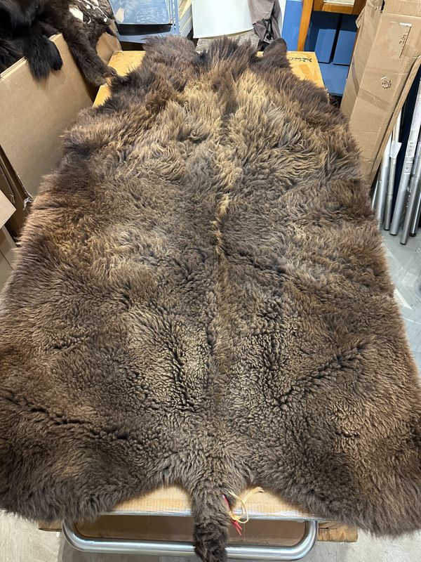 For size reference, hides are photographed on an 8-foot-tall by 4-foot-wide table.   T0123.jpg