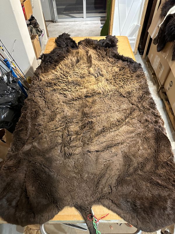 For size reference, hides are photographed on an 8-foot-tall by 4-foot-wide table.   T0110.jpg