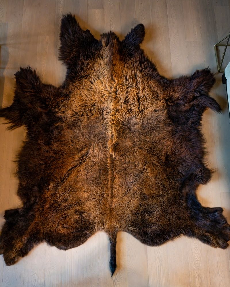 close up of bison hide