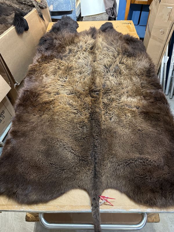 For size reference, hides are photographed on an 8-foot-tall by 4-foot-wide table.   T0122.jpg