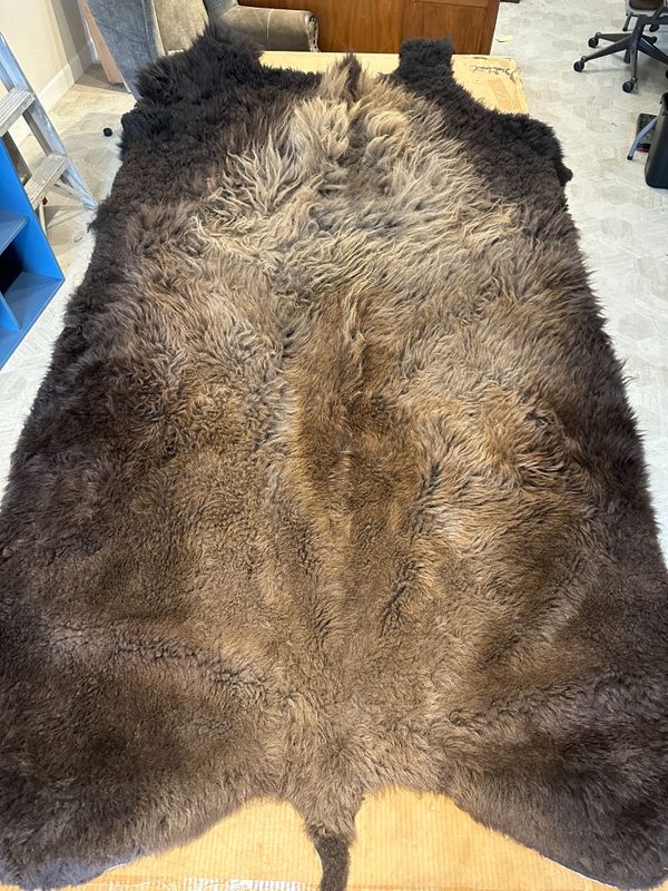 For size reference, hides are photographed on an 8-foot-tall by 4-foot-wide table.   T0115.jpg