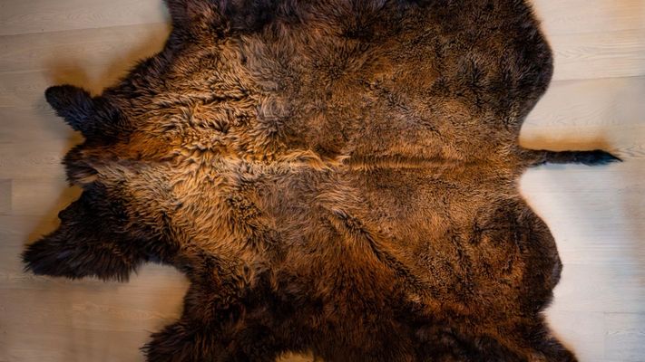 A pristine bison pelt close up