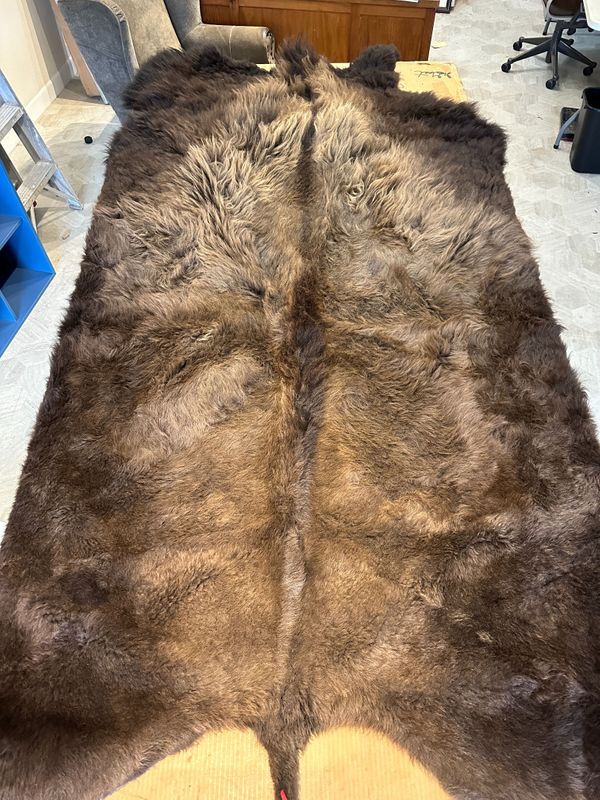 For size reference, hides are photographed on an 8-foot-tall by 4-foot-wide table.   T0114.jpg
