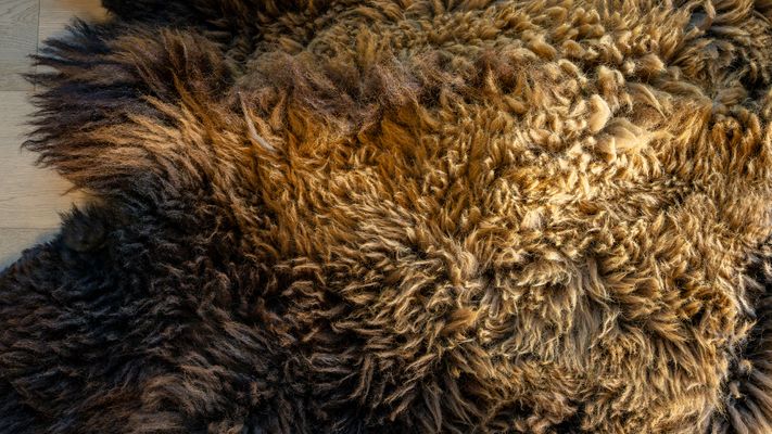buffalofur.jpg