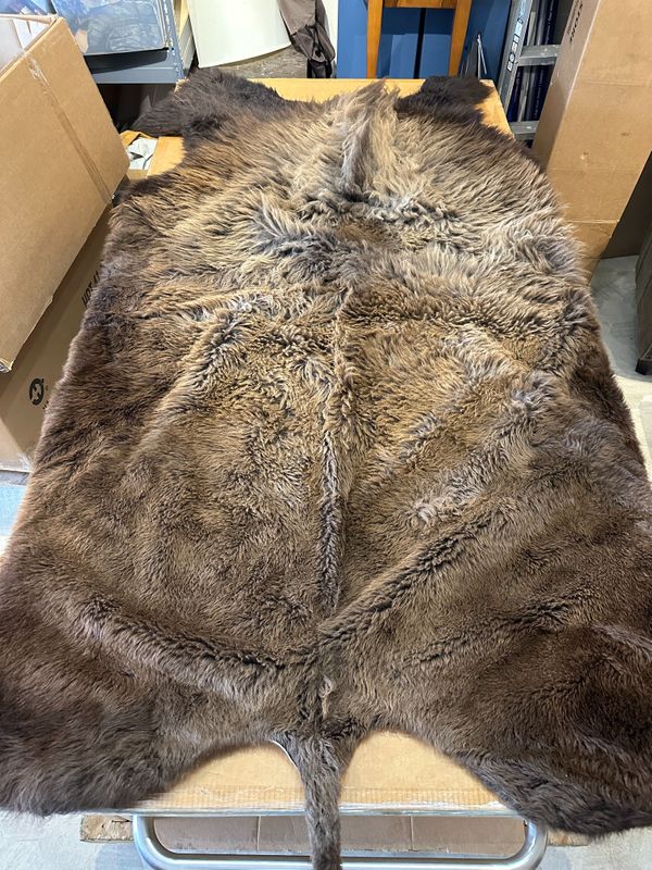 For size reference, hides are photographed on an 8-foot-tall by 4-foot-wide table.   T0117.jpg