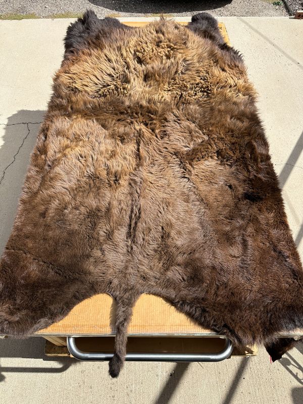 For size reference, hides are photographed on an 8-foot-tall by 4-foot-wide table.   T0130.jpg