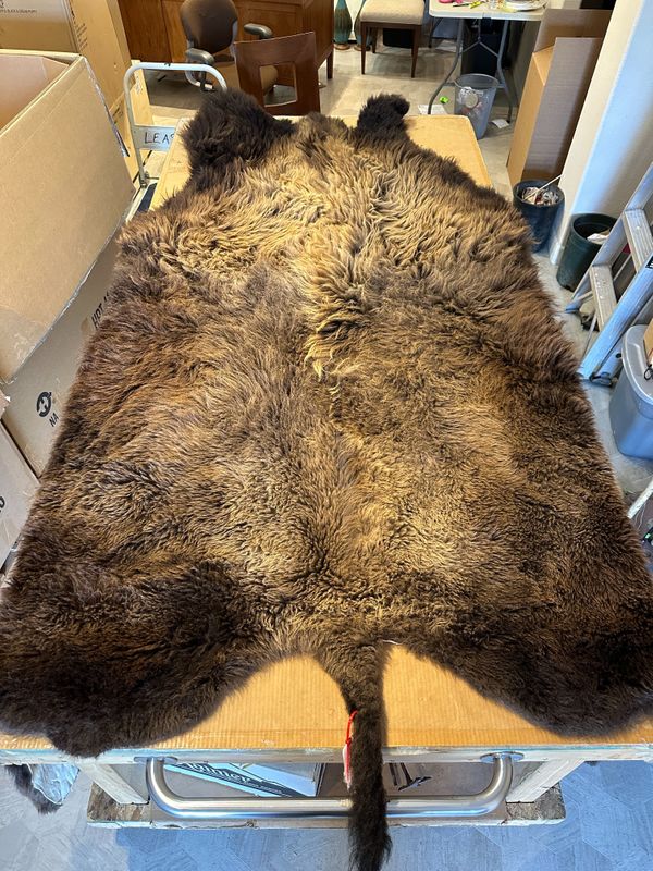 For size reference, hides are photographed on an 8-foot-tall by 4-foot-wide table.   T0103.jpg