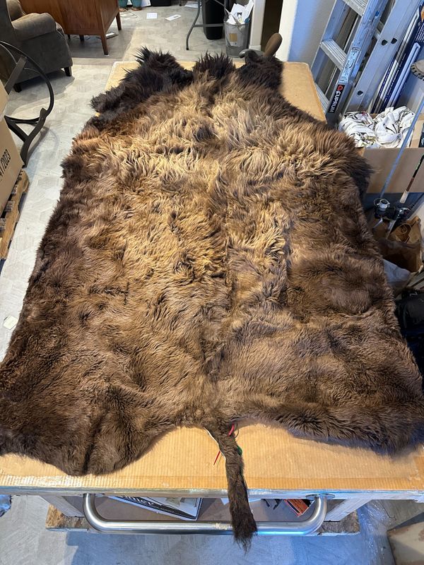 For size reference, hides are photographed on an 8-foot-tall by 4-foot-wide table.   T0107.jpg
