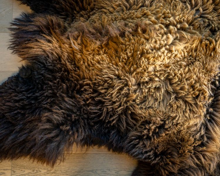 buffalo-fur-1.jpg
