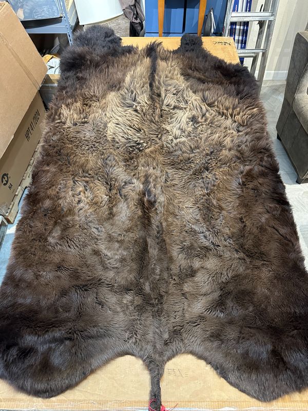 For size reference, hides are photographed on an 8-foot-tall by 4-foot-wide table.   D0109.jpg