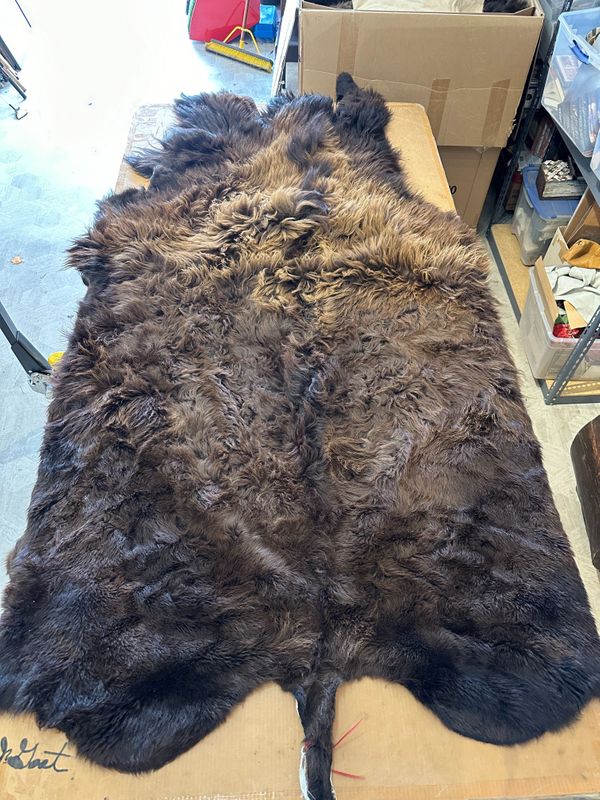 For size reference, hides are photographed on an 8-foot-tall by 4-foot-wide table.   D0105.jpg