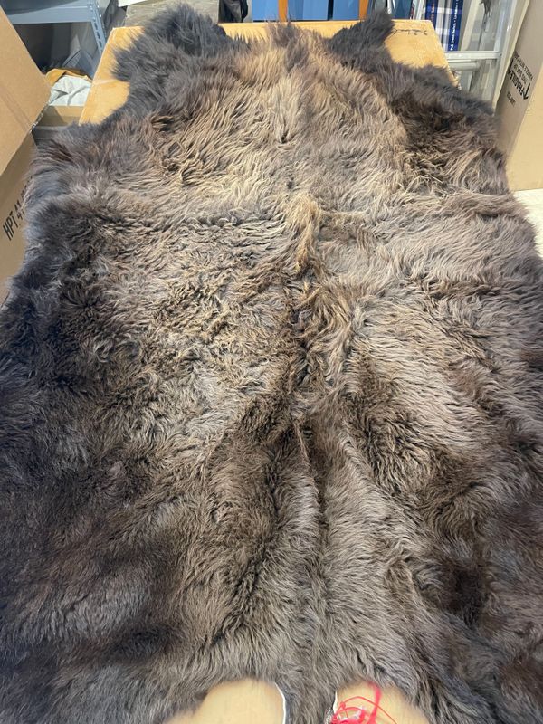 For size reference, hides are photographed on an 8-foot-tall by 4-foot-wide table.   D0101.jpg