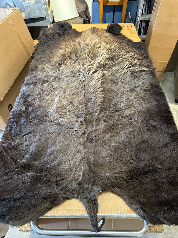 For size reference, hides are photographed on an 8-foot-tall by 4-foot-wide table.   B0102.jpg
