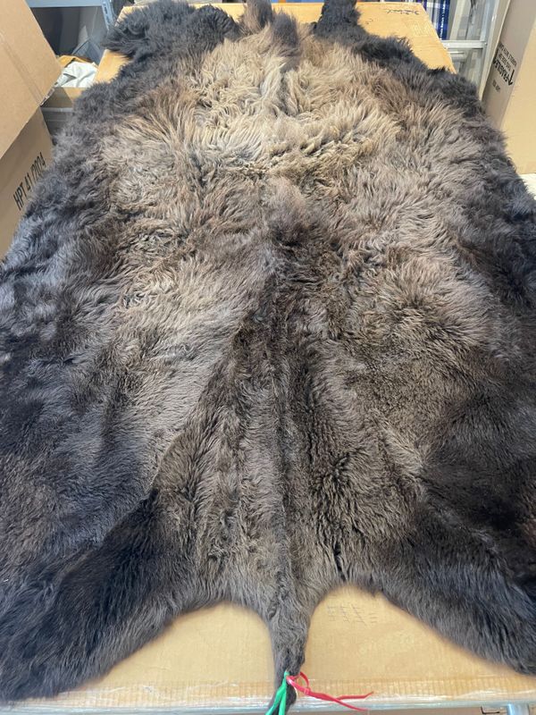 For size reference, hides are photographed on an 8-foot-tall by 4-foot-wide table.   D0102.jpg
