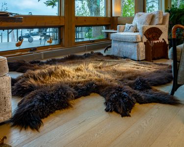 Bison Hide in front of Window