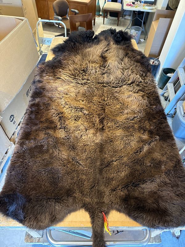For size reference, hides are photographed on an 8-foot-tall by 4-foot-wide table.   T0101.jpg
