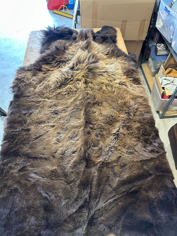 For size reference, hides are photographed on an 8-foot-tall by 4-foot-wide table.   T0112.jpg