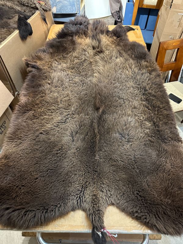 For size reference, hides are photographed on an 8-foot-tall by 4-foot-wide table.   T0121.jpg