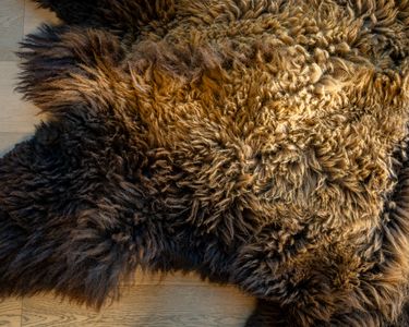 close up of bison hide