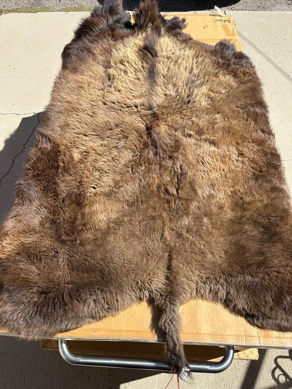 For size reference, hides are photographed on an 8-foot-tall by 4-foot-wide table.   T0124.jpg