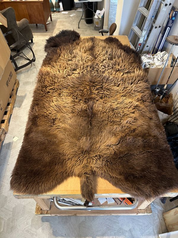 For size reference, hides are photographed on an 8-foot-tall by 4-foot-wide table.   T0106.jpg