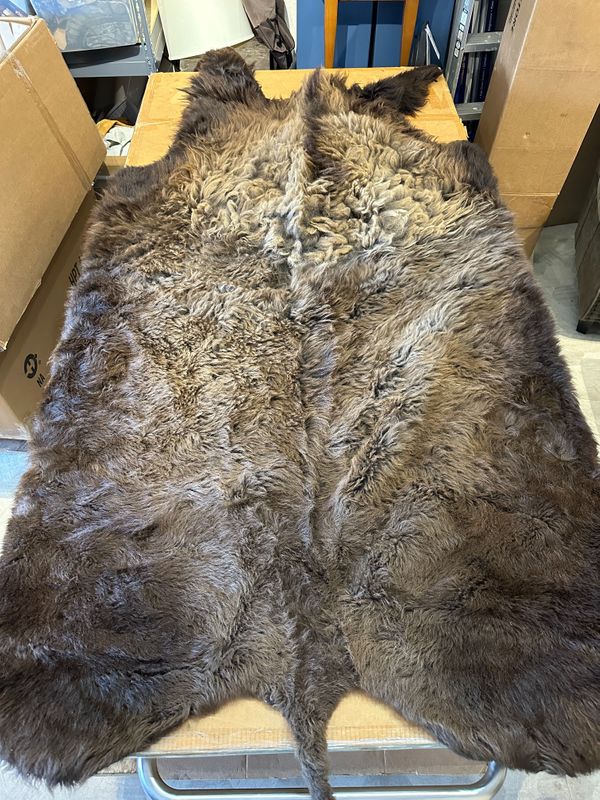 For size reference, hides are photographed on an 8-foot-tall by 4-foot-wide table.   T0116.jpg