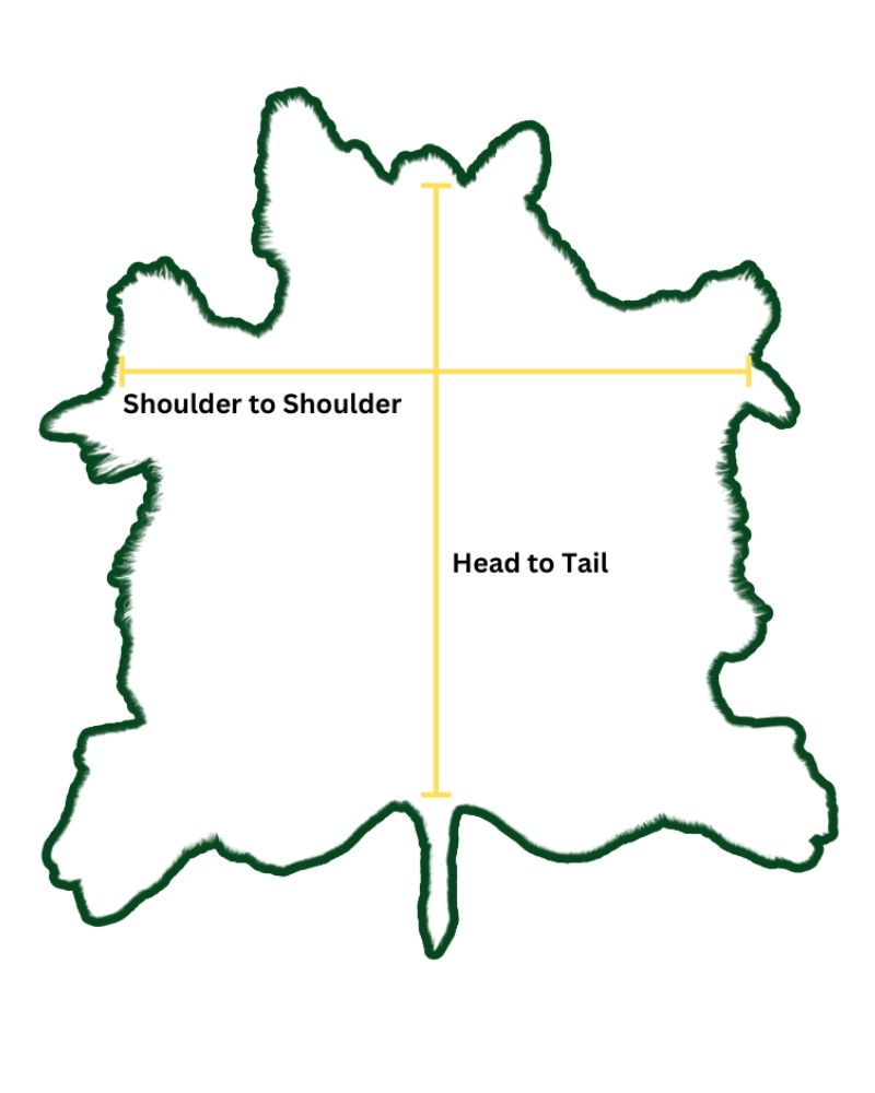 measurment details of buffalo hide