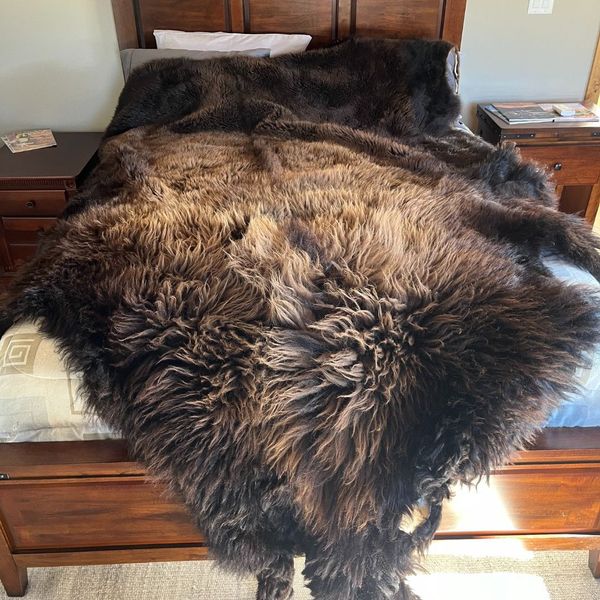 How a Buffalo Hide Can Tell a Story in Your Home3.jpg