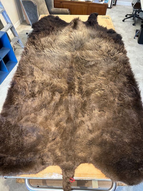 For size reference, hides are photographed on an 8-foot-tall by 4-foot-wide table.   T0113.jpg