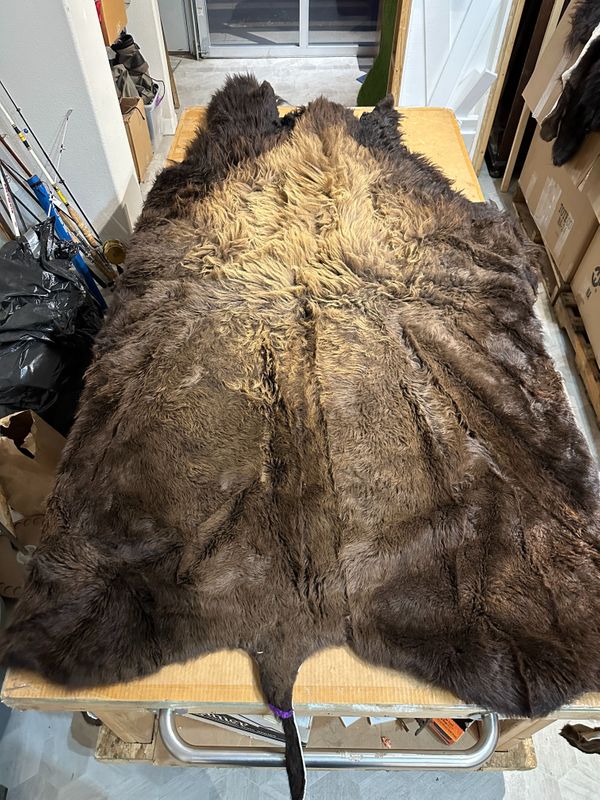 For size reference, hides are photographed on an 8-foot-tall by 4-foot-wide table.   T0109.jpg