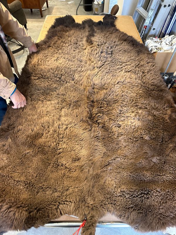 For size reference, hides are photographed on an 8-foot-tall by 4-foot-wide table.   T0105.jpg