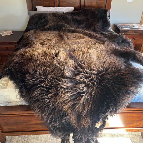 buffalo1.jpg