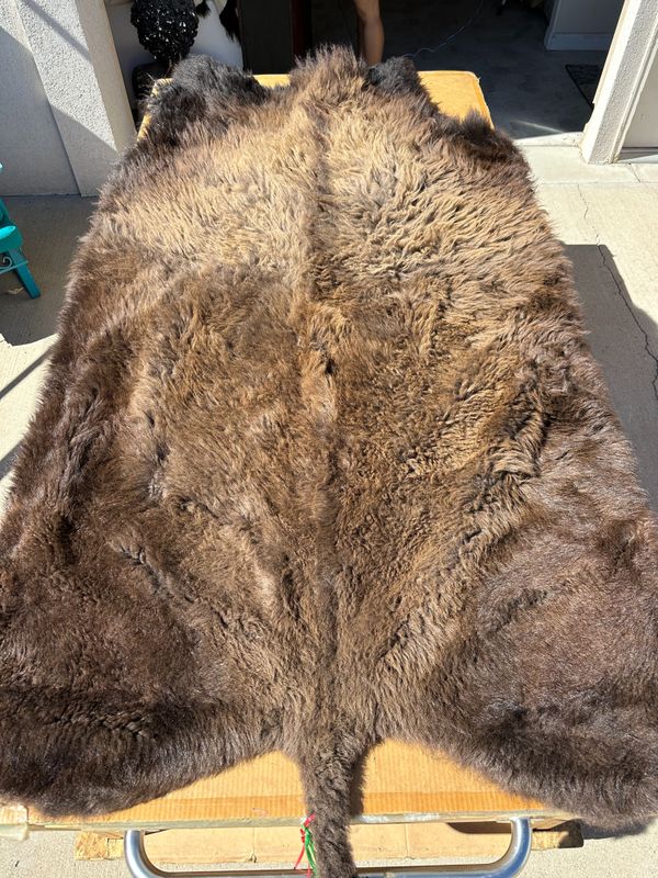 For size reference, hides are photographed on an 8-foot-tall by 4-foot-wide table.   T0125.jpg