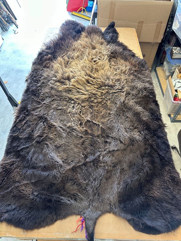For size reference, hides are photographed on an 8-foot-tall by 4-foot-wide table.   D0108.jpg