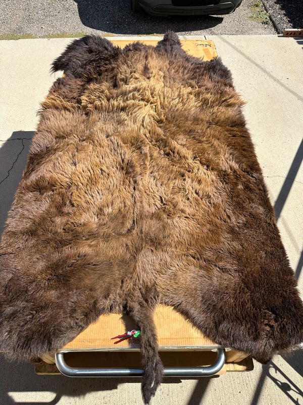 For size reference, hides are photographed on an 8-foot-tall by 4-foot-wide table.   T0128.jpg