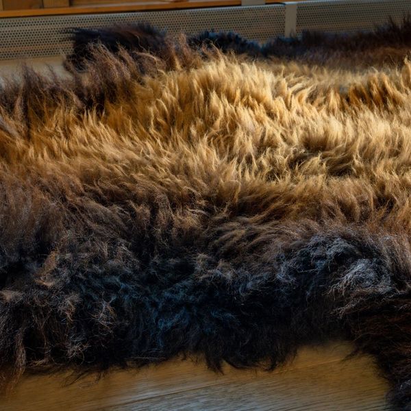 Close-up of a flawless, soft, and uniformly colored premium bison hide.