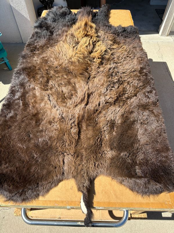 For size reference, hides are photographed on an 8-foot-tall by 4-foot-wide table.   R0101.jpg