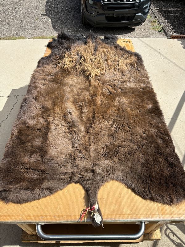 For size reference, hides are photographed on an 8-foot-tall by 4-foot-wide table.   T0129.jpg