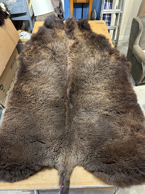 For size reference, hides are photographed on an 8-foot-tall by 4-foot-wide table.   T0119.jpg