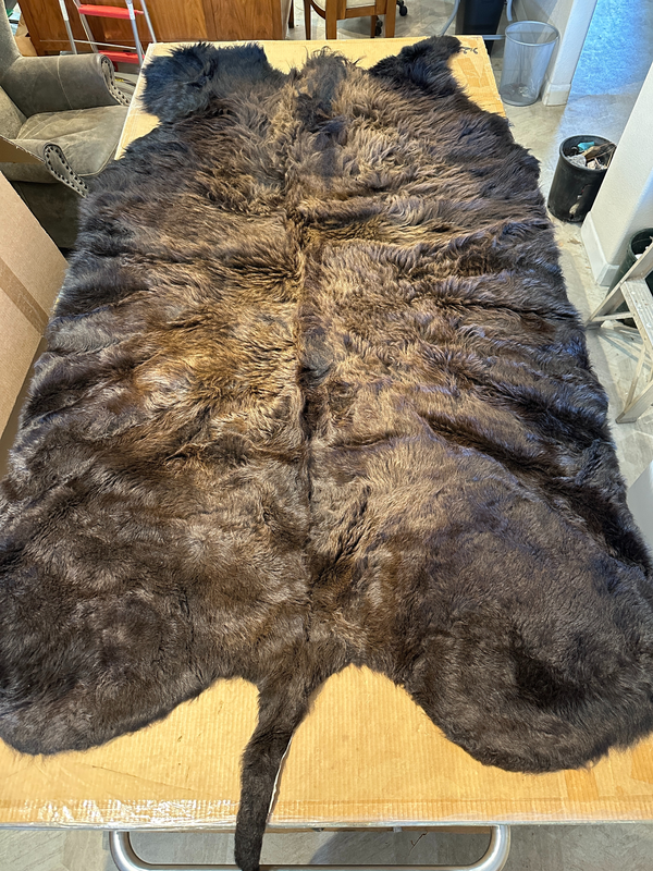 For size reference, hides are photographed on an 8-foot-tall by 4-foot-wide table.   D0104.png