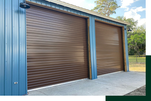 DS790 garage door