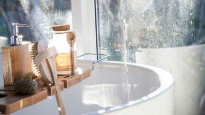 Must-Have Tub Additions for a Spa-like Experience hero e (2).jpg