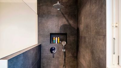 Design Ideas for a Stylish Tub-to-Shower Conversion hero.jpg