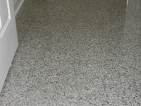 Untitled design (1).png