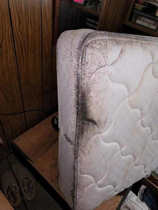 dirty buggy mattress