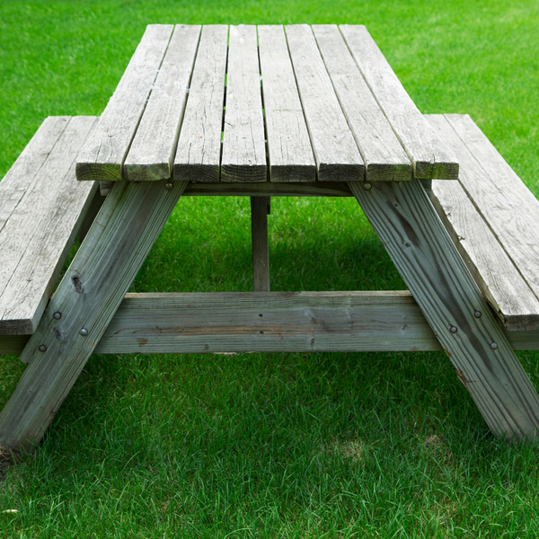 A clean picnic table will not attract wasps.