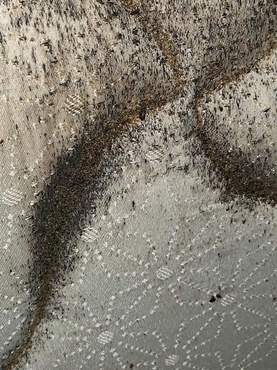 dirty buggy mattress close-up