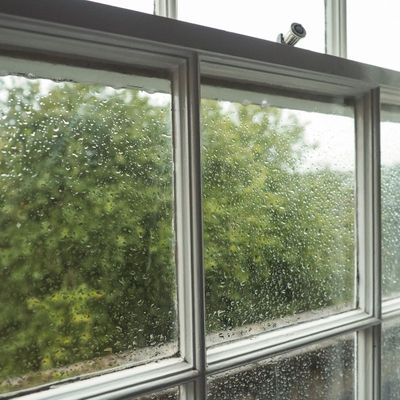 Windows with condensation on the panes