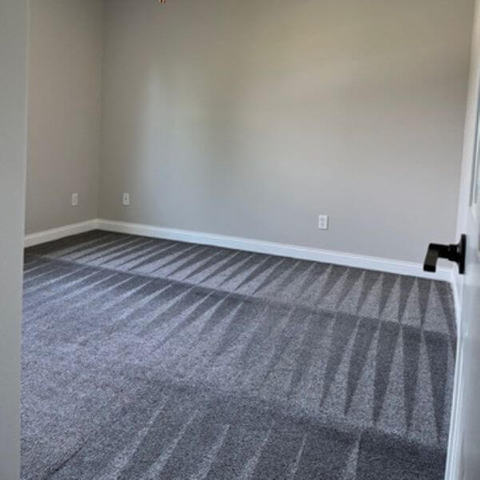 Deep Carpet Cleaning