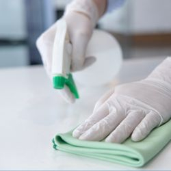 Image of a kitchen counter being cleaned